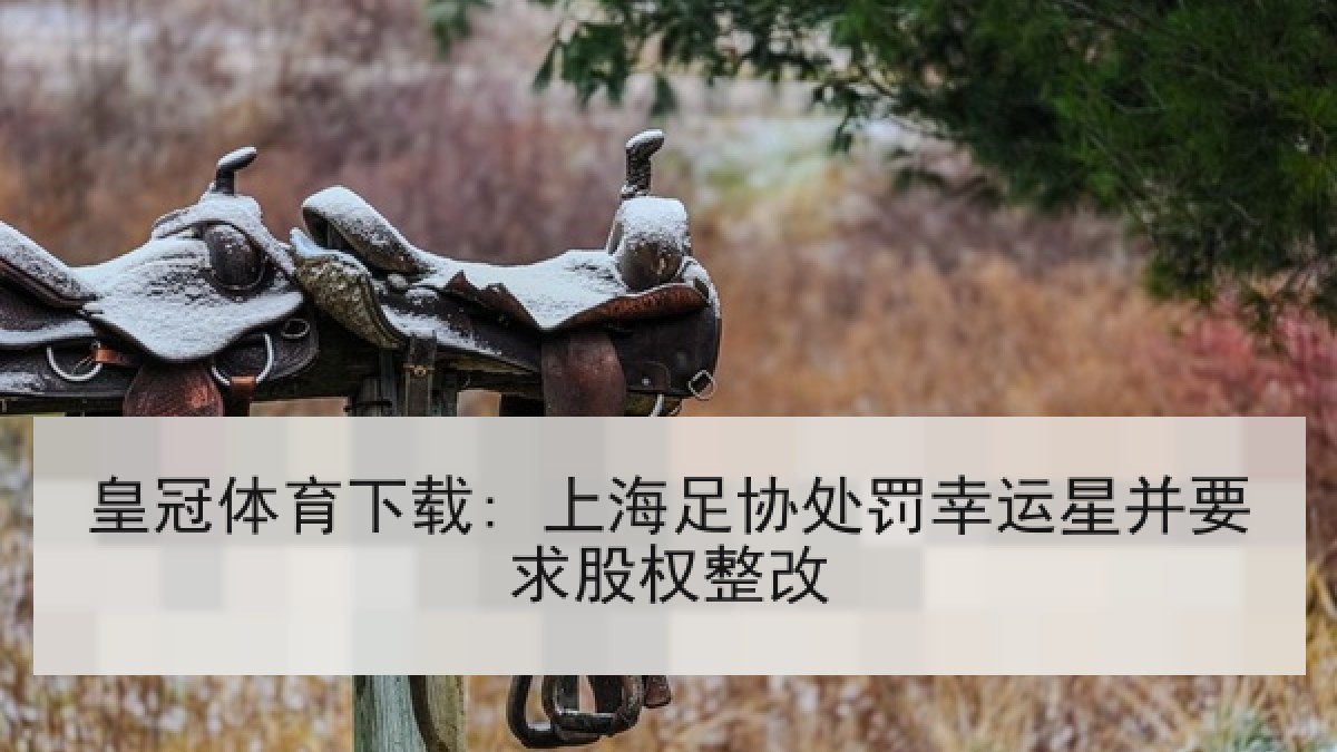 皇冠体育下载: 上海足协处罚幸运星并要求股权整改